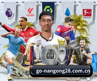南宫28 APP（NanGong）